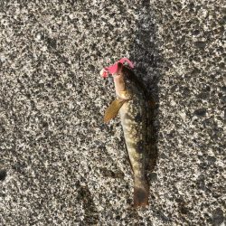 爆風の中のライトゲーム